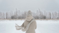 Sever Slovenska potrápi nárazový vietor