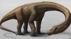 Na škótskom ostrove Skye objavili vzácne stopy dinosaurov
