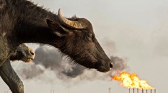 FOTOGRAFIE TÝŽDŇA: Smútiaci Trumpovci, Moldava bez Bodvy či tajomná žiara nad Austráliou