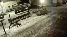 Mladíka brutálne zbil pod kamerami v centre Košíc: Druhý muž sa len prizeral