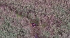 Muž uviaznutý v močiari mal obrovské šťastie. Zázračne prežil vďaka dronu