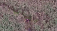 Muž uviaznutý v močiari mal obrovské šťastie. Zázračne prežil vďaka dronu
