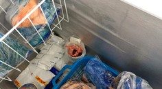 Infekcie z jedla nie sú v lete ničím výnimočným. Niekedy tomu vieme dopomôcť aj sami