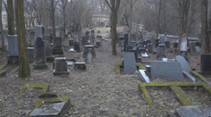 Židovská obec odkazuje vandalom: Cintoríny opravíme a budú v ešte lepšom stave ako doteraz