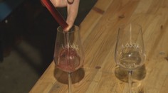 Mladé vína dozrievajú a vinári si pochvaľujú. Tento rok totiž hodnotia ako výnimočný