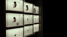 Kontroverzný prelom vo vede. Vedci prvýkrát úspešne upravili gény ľudského embrya