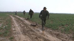 Poľovníkov šokoval jed, ktorý otrávil polovicu populácie srnčej zveri