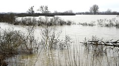 Zatvorené hranice: Vysoká voda na rieke Morava sa po výdatných dažďoch vylievala z koryta