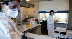 Na Slovensku už dominuje delta variant koronavírusu