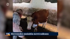 Slovensko zasiahla nová nákaza