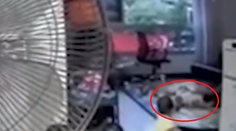 Skrytá kamera odhalila otrasné praktiky. Slúžka kopala do dieťaťa