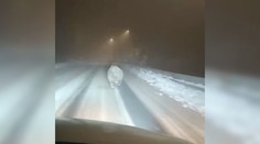VIDEO: Na zimný spánok sa zjavne nechystá. Medveď na Podpoľaní bežal priamo po ceste