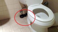 Upchatý záchod vo firme mal nečakaný 1,5-metrový dôvod