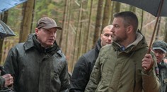 Štát žiada od lesníkov, aby sadili viac stromov. Výmenou za to má byť odpustenie odvodu