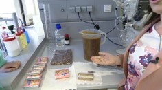 Jeme potraviny druhej triedy? Navštívili sme závod vo Viedni