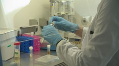 Slovensko sa môže popýšiť unikátom. Za bránami SAV sídli jediné akreditované medové laboratórium v EÚ