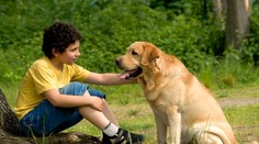 Matka ho nechala napospas osudu. Chlapec vyrastal medzi psami a komunikoval štekaním