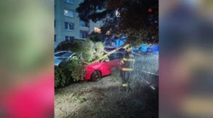 FOTO+VIDEO: Krátka, ale silná. Búrka na východe lámala konáre a vyvracala stromy