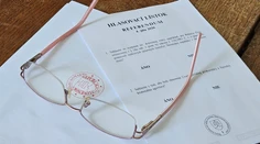 Referendum očami expertov aj reportérov. Na TN live sme priniesli mimoriadne vysielanie