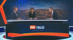 Nicholsonová: Bola by som radšej, keby Sulík zostal doma