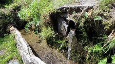 Prelomový objav slovenských vedcov. Objavili niečo ako elixír mladosti