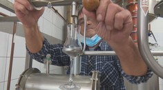 Pálenice nemajú čo páliť. Marhule vymrzli, ľudia tak nosia aj netradičné ovocie