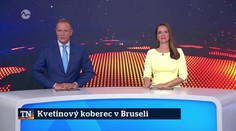 Kvetinový koberec v Bruseli