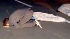 Tínedžeri ležali na ceste a robili si selfie. Prešiel ich kamión