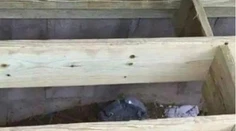 Majiteľka pripravila budúcim majiteľom morbídne prekvapenie. Jej nápad ľudia ocenili