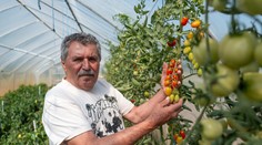 Domáca zelenina a ovocie, ktoré zbytočne necestujú