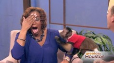 Moderátorka dostala v priamom prenose úder rovno do tváre