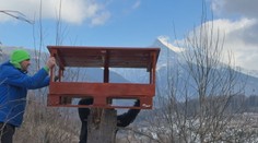 Gigantické kŕmidlo s exkluzívnym výhľadom. Slovensko sa môže pochváliť rekordnou vtáčou jedálňou