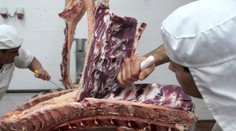 Firma z kauzy poľského mäsa prepustila polovicu zamestnancov. Tovar nechcú ani veľké reťazce