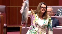 VIDEO: Bizarný výstup v parlamente. Senátorka vytiahla mŕtveho lososa a mávala ním vo vzduchu