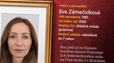 Polícia postupne zverejňuje najhľadanejších zločincov na Slovensku a "pozýva ich na Vianoce domov"