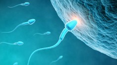 Pýtali sme sa za vás: Poisťovňa preplatí aj spermiogram, má to však podmienku