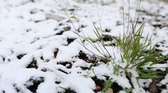 Na horskom priechode Čertovica ráno nasnežilo