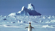 Už aj na poslednom kontinente sveta sa objavil koronavírus