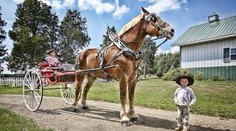 Svet prišiel o najvyššieho koňa z Guinnesovej knihy rekordov. Big Jake mal 20 rokov