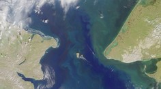 Kremeľ chce medzi Ruskom a Aljaškou vybudovať tunel Putin - Trump. Staviteľom má byť Muskova firma