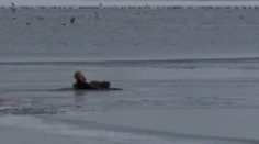 Policajt zachránil podchladené a vysílené šteniatko v poslednej chvíli