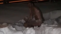 VIDEO: Martin Šmahel sa s tým nebabre. Holý skončil v snehu