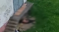 Hlohovčania boli svedkami nechutnej scény: Muž (66) sa uspokojoval na suke ovčiaka