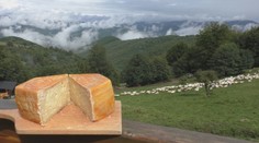 Našli pôvodnú receptúru syrovca z čias Rakúsko – Uhorska. Je v ňom skrytá chuť muránskych lúk