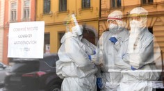 Skríning je jediné rozumné riešenie, ku ktorému vo vláde dospeli, myslí si virológ