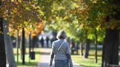 Horúci december: Do Európy zavítala „jar“, namerali až 22 stupňov