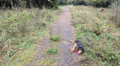 Exriaditeľ Štátnych lesov TANAPu mal podľa iniciatívy My sme les zastreliť rodine s dieťaťom psa, ktorý bol tesne pri nich