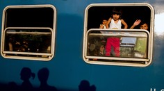 O Česku píšu v zahraničí: Utečencov značkujú fixkou ako dobytok