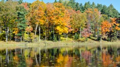 Zajtra pokojne vyrazte do prírody. Bude krásne
