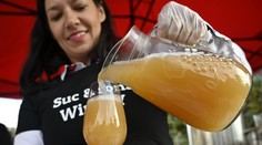 Obľúbený mok vinohradníckych slávností bude meškať. Počasie ohrozuje aj burčiak